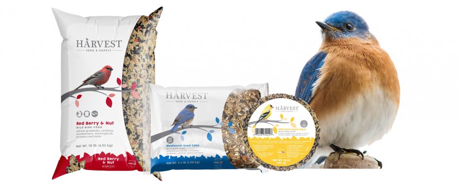Red Berry and Nut seed blend, Mealworm Seed Cake, and Wild Finch Snack Stacker. Featured with an Eastern Bluebird.