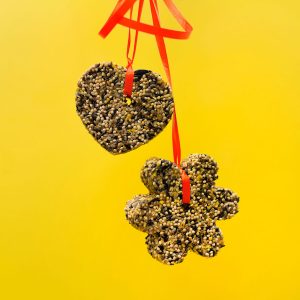 A heart- and a flower-shaped bird seed cake.